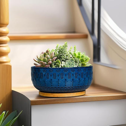 Bonsai Pots - 8 Inch Ceramic Succulent Pots with Drainage Hole and Saucer, Planters for Indoor Plants, Modern Round Decorative Flower Planter, Home Decor, Housewarming Gifts, Blue