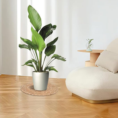 6 Pack 14 Inch Large Woven Plant Coasters for Floor, Natural Seagrass Plant Mats for Indoor House Plants, Thick Round Flower Pot Pads for Carpet & Hardwood Protection, Boho Farmhouse Decor