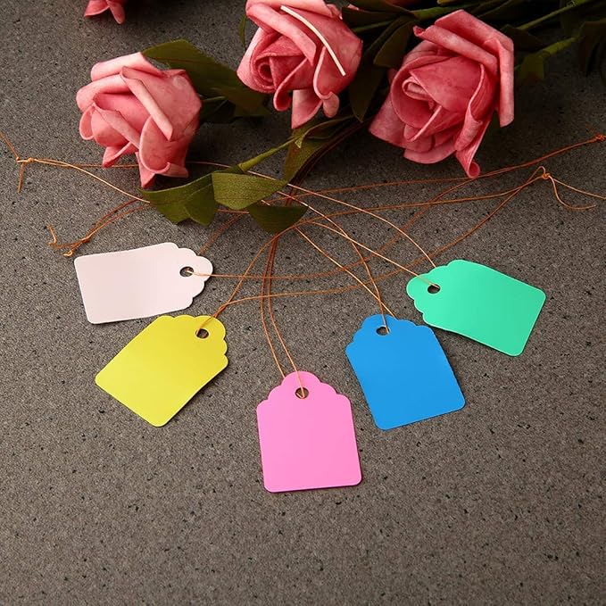 500pcs Waterproof Tags with String, Plastic Reusable Plant Labels Hanging Marking Tags for Gardening Jewelry Clothing(5 Colors/4.53cm)