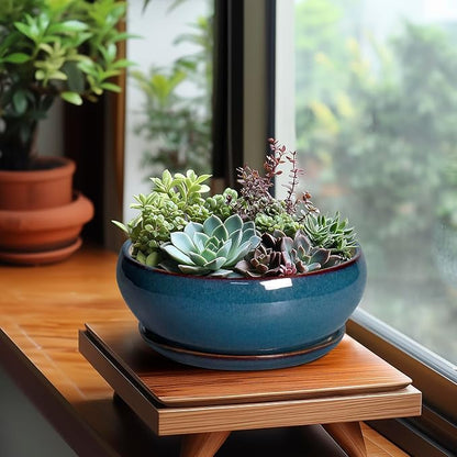 SQOWL Bonsai Pots - 8 Inch Ceramic Succulent Pots with Drainage Hole and Saucer, Round Shallow Planter for Indoor Outdoor Plants Flowers, Ceramic Planter Bowl, Room Decor, Gardening Gifts, Blue