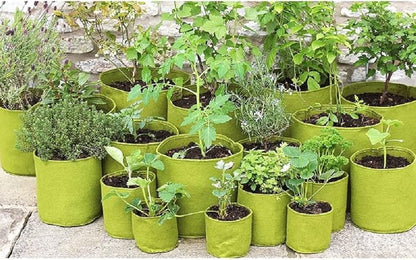 Tierra Garden 50-VIG08 Haxnicks 1.3 Gallon Vigoroot Pots, 3-Pack
