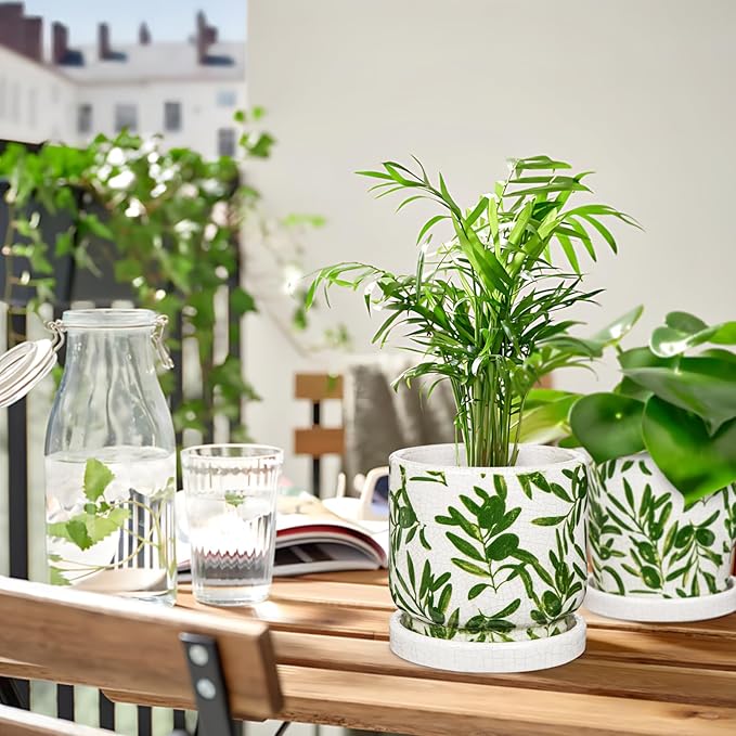 Small Ceramic Pot for Indoor Plants - 5.5 inch Plant Pot with Drainage Hole and Saucer Olive Leaf Decorative Planter Indoor Outdoor Flower Pots for Succulent Snake Pothos Plant Windowsill Home Garden