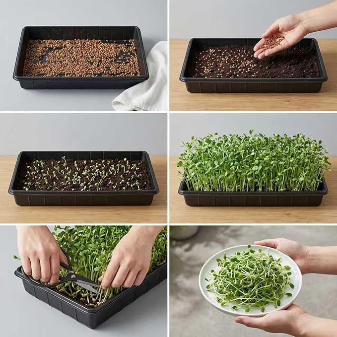 10 Plant Growing Trays,Plant Tray, Seed Tray, Seedling Tray, Propagation Tray, Plant Trays for Seedlings, Planting Trays, Seedling Starter Tray(No Drain Holes)