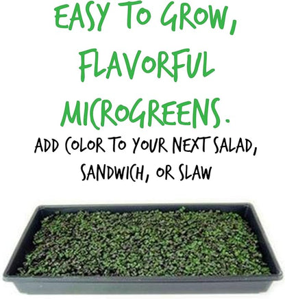 Red Acre Cabbage Microgreens & Sprouting Seeds – 1 Lb – Non-GMO, Chemical-Free – High-Germination Seeds for Nutritious Microgreens, Sprouts, Hydroponic Growing, and Indoor Gardening