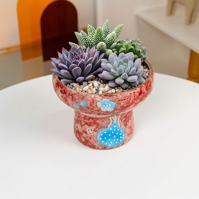 7.5 Inch Succulent planters, Pretty Hand Painted Bonsai pots with Drainage Holes for Cacti & Indoor Plants, Artistic Flower Pot for Outdoor Garden & Windowsill Décor
