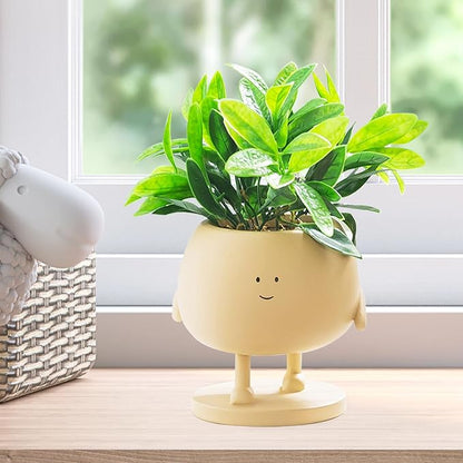 Face Plant Pots, Succulent Pots, 4.9 Inch Head Planters for Indoor, Cute Resin Flower Pot with Drainage Hole, Unique Cactus Planter, Small Planter Pots for Mini Plant (1 Pack)