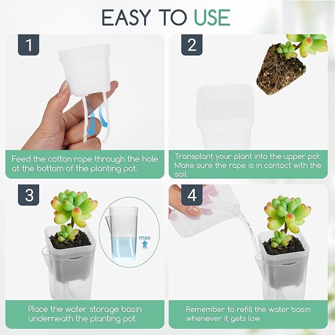 12 Pack 2" Small Self-Watering Planter Pots - Mini Clear Seed Starter Pots with Visible Water Level, Plastic Nursery Pots for Succulents, Herbs, and Propagation - Includes 12 Plant Labels
