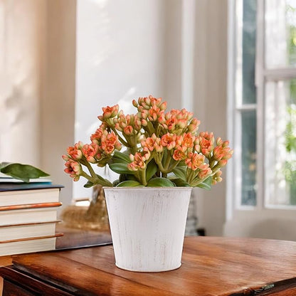 Hosley Set of 2 White Bucket/Pots with PVC Liner, 6.5" Dia x 6" H Ideal Gift for Floral Arrangements Wedding Home Office Party DIY Indoor Outdoor Garden Patio