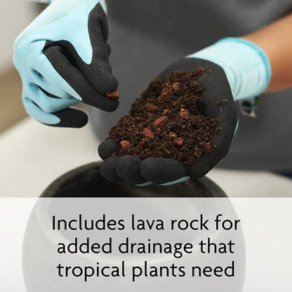 Miracle-Gro Tropical Potting Mix - Growing Media for Tropical Plants Living in Indoor and Outdoor Containers, 6 qt. (4-Pack)