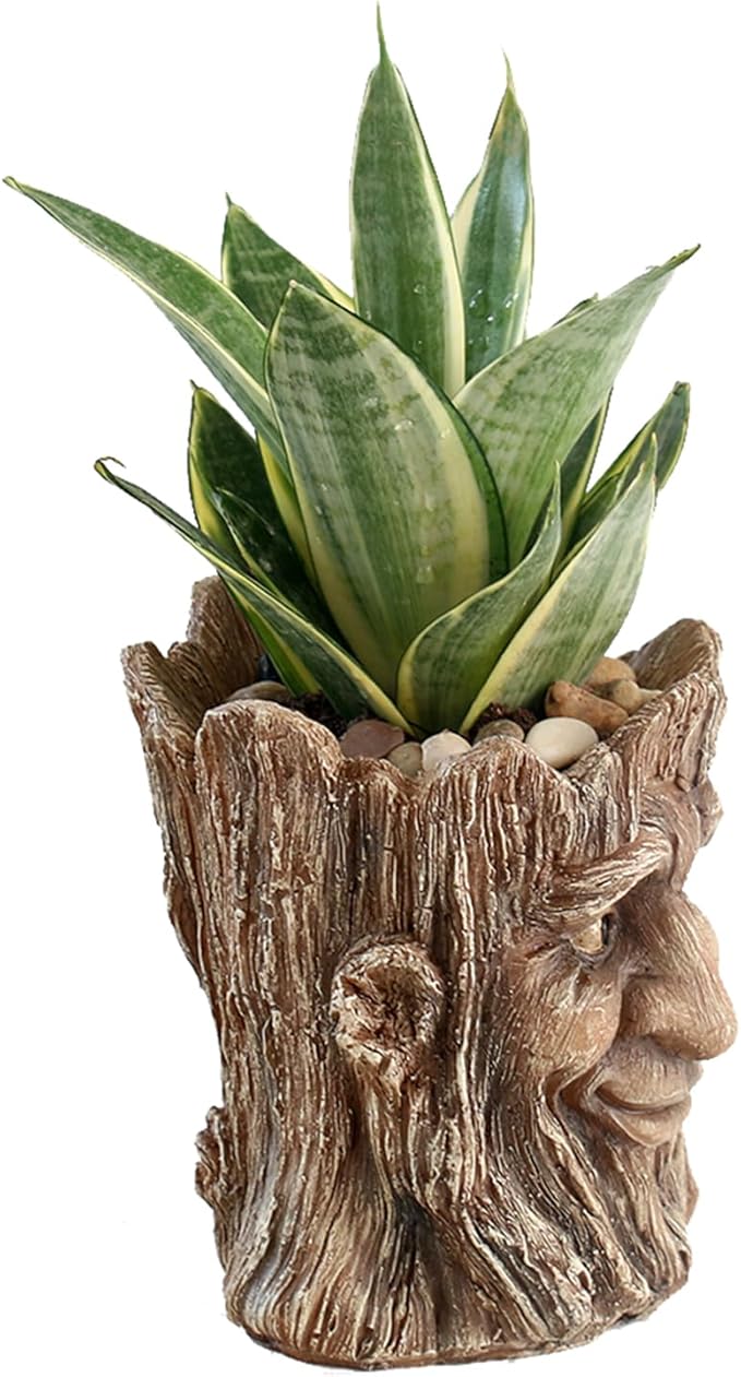 Funny Planter Head Face Plant Pot with Drainage Hole Resin Succulent Plant Holder Pencil Holder Desk Organizer Office Garden Gift (Smile Face)
