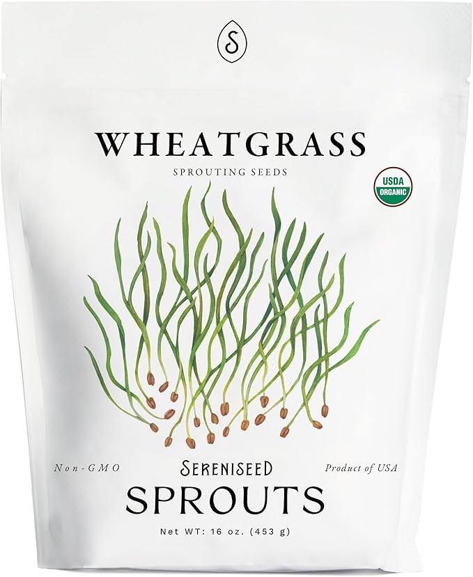 Organic Wheatgrass Seeds (16 oz) – Non-GMO, Heirloom Seeds for Sprouting and Microgreens