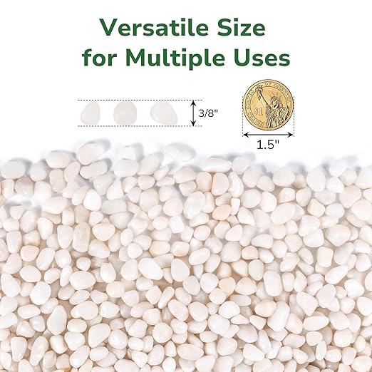 GreatBuddy 5-lb Decorative Rocks for Indoor Plants, 3/8" White Pebbles, Small Rocks for Potted Plants, Succulent, Vases, Aquariums, Fish Tanks, Garden Landscaping, Natural Polished