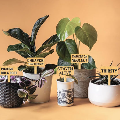 arricraft 15 Pcs Funny Plant Markers, Wooden Garden Stakes T-Type Garden Labels Funny Talking Plant Funny Garden Signs Garden Tags for Indoor and Outdoor Potted Seed Herbs Unique Funny Gifts