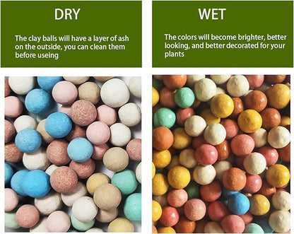 Colorful Leca Clay Pebbles 5LBS for Plants 8-10mm Natural Organic Leca Balls Indoor Potting Garden Soil for Orchid, Succulents, Hydroponics, Decoration, Drainage (Colorful-1, 5 lbs)