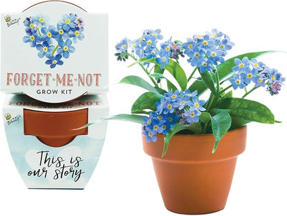 BUZZY Seeds Forget-Me-Not Terracotta Mini Grow Pots Love Collection, 12-Pack All-in-One Gardening Kit for Wedding Favors, Prizes, Birthday Gifts, Party Favors, Bridal Showers, Valentines