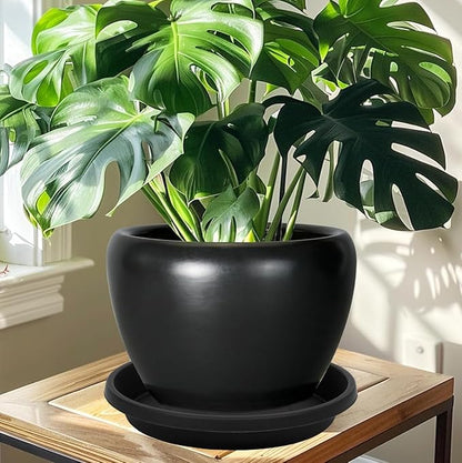 5 Pack Plant Saucer 8 Inch, Flower Pot Saucers Plant Trays for Pots, Plant Plates to Catch Water Indoor Plants, Plastic Planter Tray for Indoors, Planting Trays