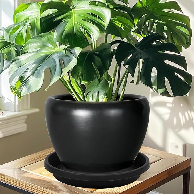2 Pack Plant Saucer 10 Inch, Drip Trays for Potted Plants, Flower Pot Saucers Plant Trays for Pots, Plastic Planter Tray for Indoors, Plant Water Catcher Tray, Birdbaths for Outdoors