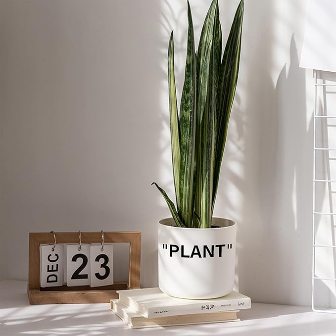 TwoDays Off-White Inspired Sneaker Planter, Hypebeast Room Decor, Small 5 Inch Cylinder White Plastic Indoor Plant Pot with Built in Drainage Hole, Mini Flower Pot, Sneakerhead Gift.