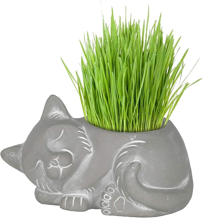 Classic Home and Garden Cement Buddies Animal Planter - Cute Desk Decoration - UV Coated Animal Vase w/Drain Plug - Succulent Plant Pot for Indoor/Outdoor Use (Cat Planter, Natural, Large)