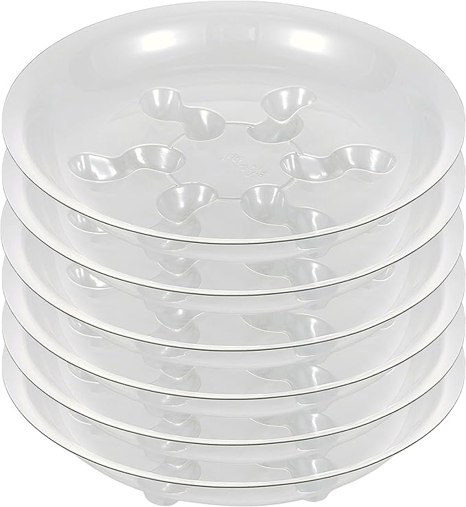 6 Pack Heavy Duty Clear Plastic Plant Saucer Sturdy Pot Tray Plant Drip Trays Drip Trays for pots,Plant Water Catcher Tray,Plant Pot Saucers (8 INCH)