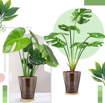 Baderke Glass Orchid Pots with Holes and Bamboo Tray Glass Pot Water Level Control Semi Hydroponic Transparent Root Transparent Indoor Orchid Planter for Home Indoor Outdoor Plant Lovers (6 Inch)