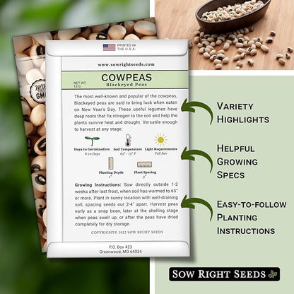 Sow Right Seeds - Black Eyed Cowpea Seeds for Planting - Non-GMO Heirloom Packet with Instructions to Plant a Home Vegetable Garden - Old Fashioned Bush Bean Variety - Extra Lucky (2)