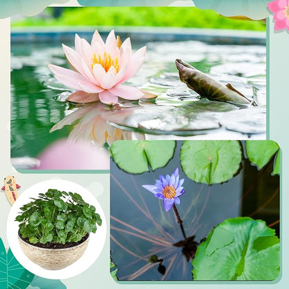 2 Pack Water Lily Planter Bowl, 15.6 Inch Large Lotus Flower Bowl Fit Hydroponic Succulent Planter Water Plant Container for Indoor Outdoor Garden Balcony Patio Fish Pond Bird Bath (White)
