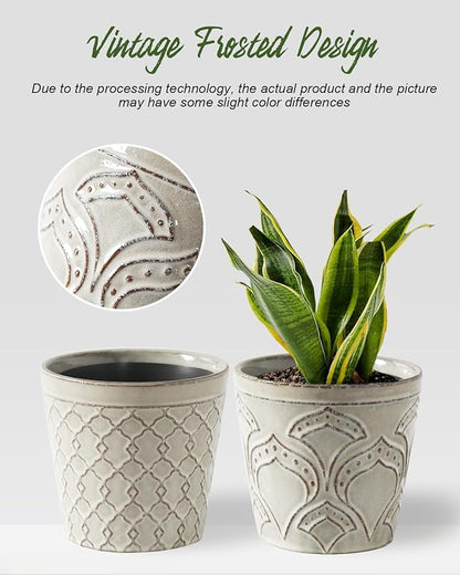 Plant Pots, Planters Pots for Indoor Plants 5.5 Inch Ceramic pots for Plant *2, Flower Pots with Drainage, Planters for Indoor Plants, Small Pots for Plant, Cement Gray