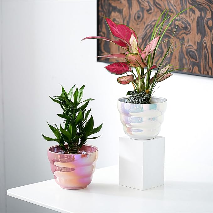 Pots for Indoor Plants, Rainbow Pearl Glaze Planters Set of 2 with Drainage Hole, 6 Inch Round Modern Pots for Flower Snakes Succulents, White and Pink