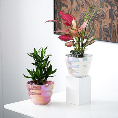 Pots for Indoor Plants, Rainbow Pearl Glaze Planters Set of 2 with Drainage Hole, 6 Inch Round Modern Pots for Flower Snakes Succulents, White and Pink