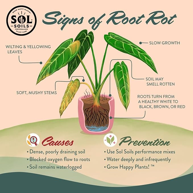 Sol Soils Calcined Clay – 100% Peat-Free Soil Amendments with Superior Drainage, Aeration, & Root Health for Indoor Plants, Succulents, Bonsai & More - 1 Quart