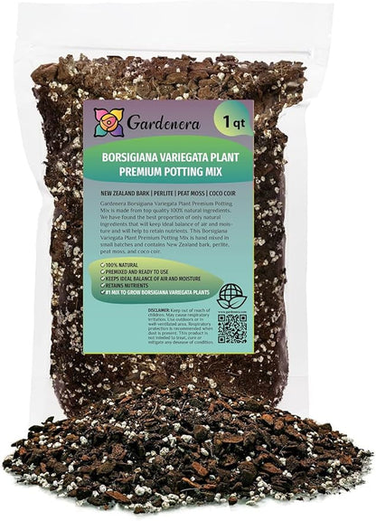 Premium Monstera Borsigiana Potting Mix - Handcrafted for Optimal Nutrient Absorption by Gardenera - 1 Quart