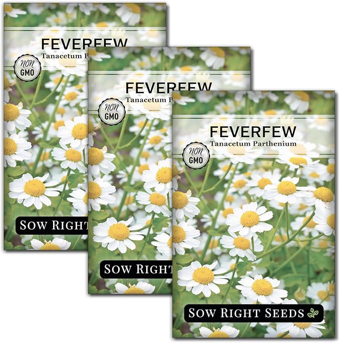 Sow Right Seeds - Feverfew Seeds for Planting - Non-GMO Heirloom Packet with Instructions to Plant an Outdoor or Indoor Herb Garden - Traditional Medicinal Herb, Make Tea & Extract for Migraines (3)