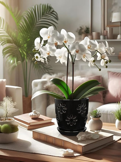 Oairse 6 inch Orchid Pots with Holes, Black Ceramic Orchid Pot for Repotting Small Indoor Plant Pots with Drainage Holes and Saucers Decorative Flower Planter for Orchids, Indoor Plant