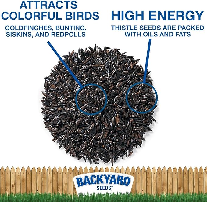 CountryMax Nyjer Thistle Seed for Finches 20lbs - Premium Nyjer Bird Seed for Outside Feeders, Large Bulk Bag of Wild Bird Food