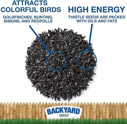 CountryMax Nyjer Thistle Seed for Finches 20lbs - Premium Nyjer Bird Seed for Outside Feeders, Large Bulk Bag of Wild Bird Food