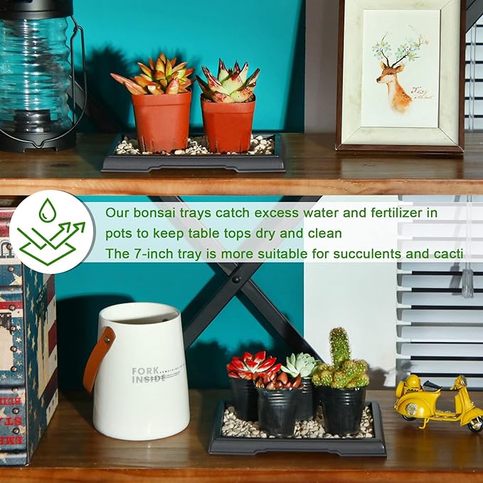 Pinkunn 2 Pcs Bonsai Humidity Tray Rectangular Drip Tray Plastic Plant Water Catcher Plant Saucers for Indoors and Outdoors Cactus,Succulents,Bonsai Tree,Stone Not Included (7.8 x 5.5 Inch)