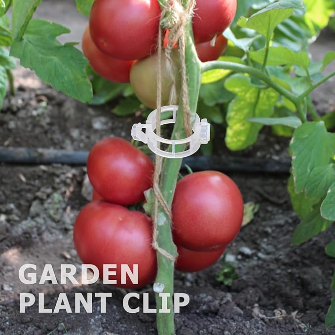 200PCS Plant Support Clips, Tomato Clips, Garden Clips, Trellis Clips, Vine Clips for Climbing Plants to Prevent Tomatoes from Pinching or Falling Off