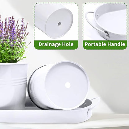 Metal Herb Garden Planter Set with Tray, 3-Pack White Zinc-Coated Windowsill Plant Pots with Drainage Holes & Handles for Indoor Outdoor Kitchen Garden