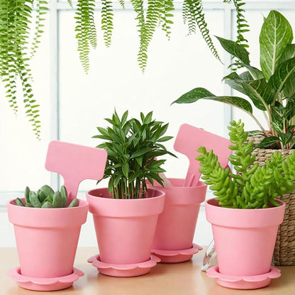36 Packs Cupcake Plant Nursery Pots with Humidity Dome Small Flower Pots Plastic Planting Containers Cups with Saucers and Shovel for Indoor Outdoor Plant Succulent Display (Pink)