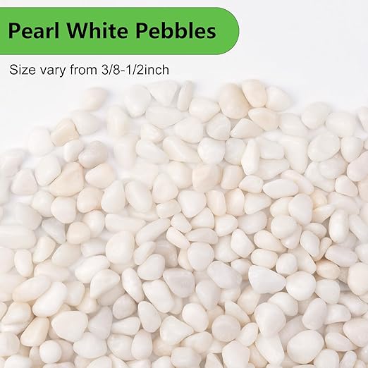2.5 lbs White Pebbles for Vases, 3/8" Small Plant Stones for Pots Indoor, Pea Gravel for Succulents, Bamboo, Terrarium, High Polished