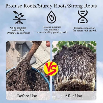 2lb Japanese Kanuma Soil 1-3mm Fine Grain for Acid-Loving Plants - Ideal for Bonsai, Azaleas, Hydrangeas & Blueberries,Succulent - Fast Drainage, PH Balanced (Natural, No Additives)