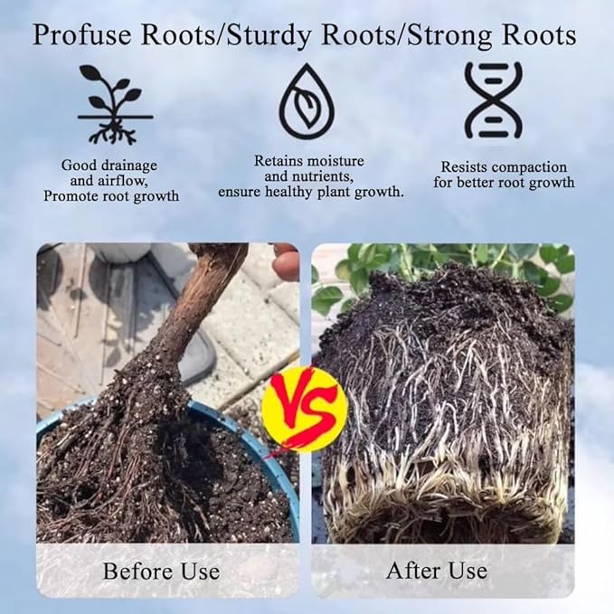 2lb Japanese Kanuma Soil 6-9mm Medium Grain for Acid-Loving Plants - Ideal for Bonsai, Azaleas, Hydrangeas & Blueberries,Succulent - Fast Drainage, PH Balanced (Natural, No Additives)
