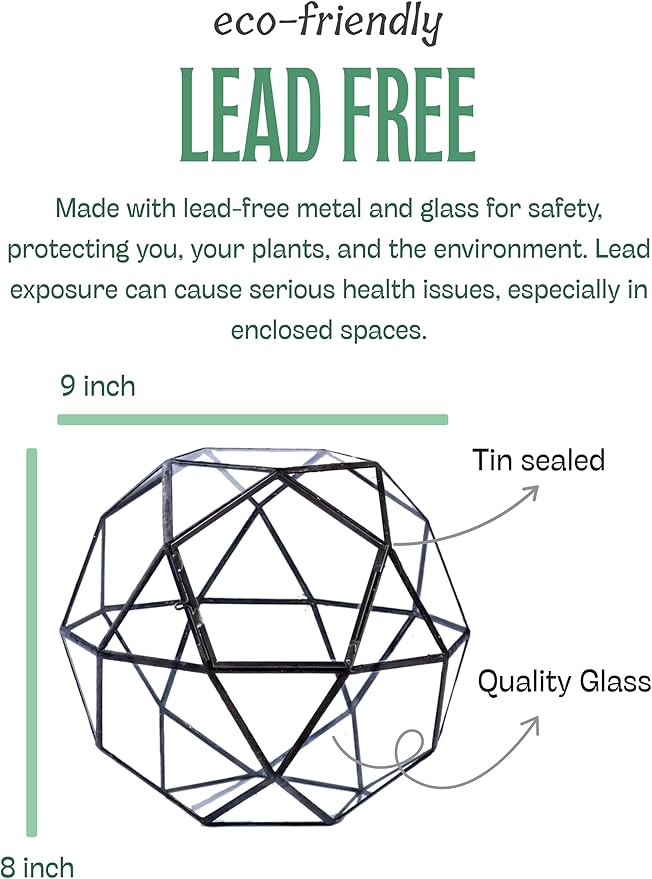 KraftStories Clear Glass Terrarium with Door | Sphere Design Container | Ideal Planter for Moss and Indoor Plants | Maintains Humidity | Self-Sustaining Indoor Garden Ecosystem (Only Terrarium)