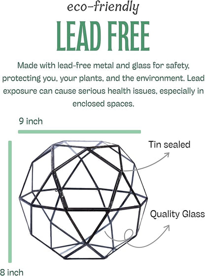 KraftStories Clear Glass Terrarium with Door | Sphere Design Container | Ideal Planter for Moss and Indoor Plants | Maintains Humidity | Self-Sustaining Indoor Garden Ecosystem (Only Terrarium)