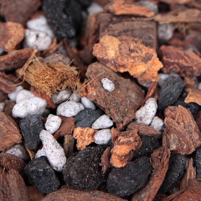 Potting Soil with Perlite, peat Moss, Coconut, Charcoal and Orchid bark for Cattleya Dendrobium Oncidium All Natural Orchid bark Potting Mix for Potting Soil Indoor Plants