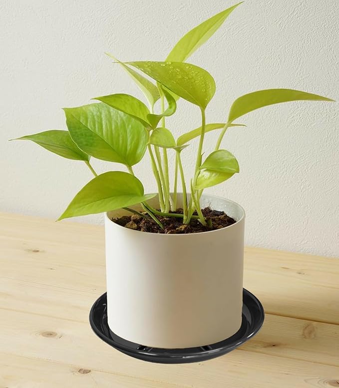 6 Pack of Plant Saucer 10 inch, Heavy Duty Pot Saucers for Plants, Plant Drip Trays for Indoors Outdoor, Plant Water Tray for Planters, Black