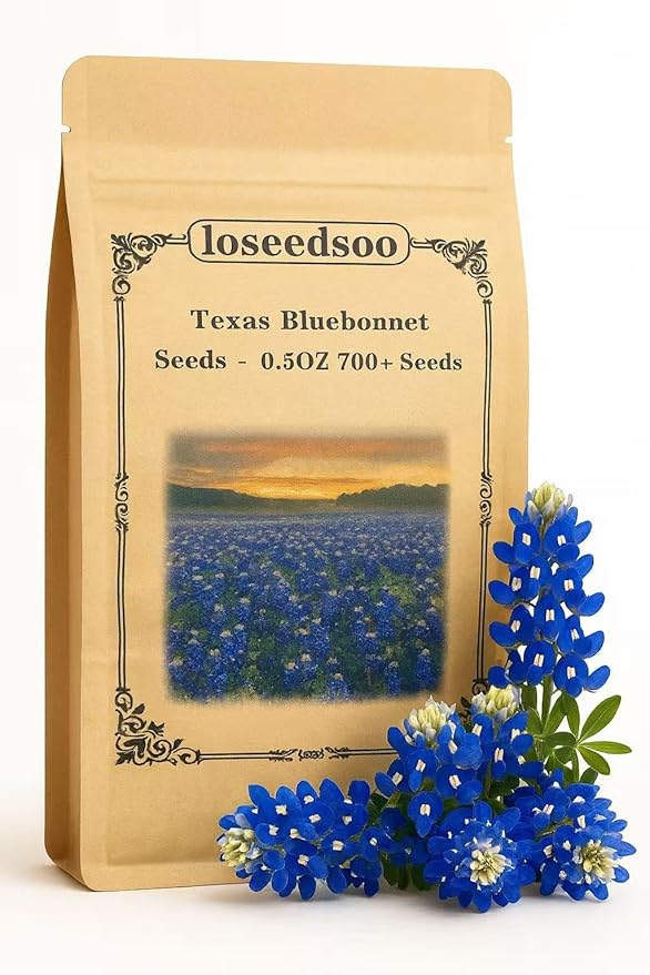 Texas Bluebonnet Seeds by LOSEEDSOO – 0.5oz Pack with 700+ Seeds – Easy to Grow Annual Wildflower – Heat & Drought Tolerant – Native to Texas Prairies – Vibrant Blue Spring Blooms
