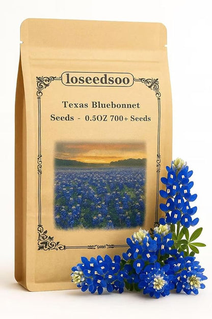Texas Bluebonnet Seeds by LOSEEDSOO – 0.5oz Pack with 700+ Seeds – Easy to Grow Annual Wildflower – Heat & Drought Tolerant – Native to Texas Prairies – Vibrant Blue Spring Blooms