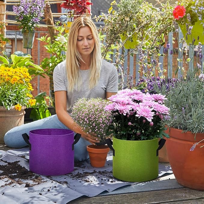 5 Gallon Grow Bags, 12 Pack Multicolor Fabric Plant Pot Bag with Handles Plant Grow Bags for Flowers, Fruits and Vegetables ﻿ (Green+Purple+Black)